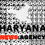 haryananewsagency