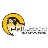 Falconsafaris