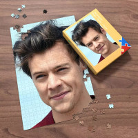 harrystylesmerch
