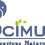 ocimum