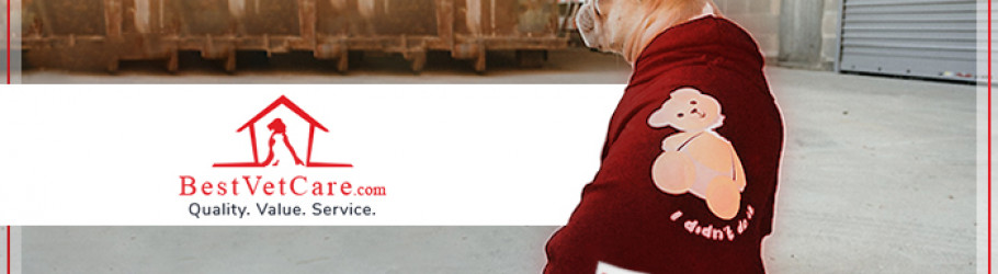 BestVetCare