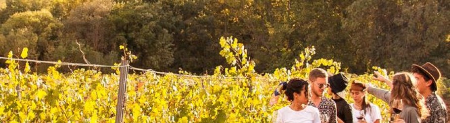 Tangowinetours