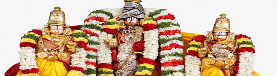 PadmavathiTravelsTNagar