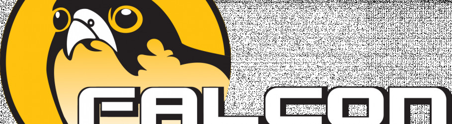 Falconsafaris