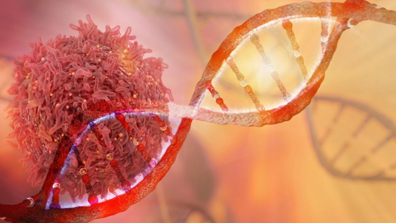 How Molecular Medicine Bachelors Explored?