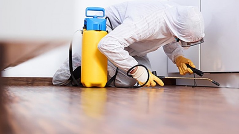 Pest Control Delhi,Bed Bug Control, Termite Treatment|Klikly.com
