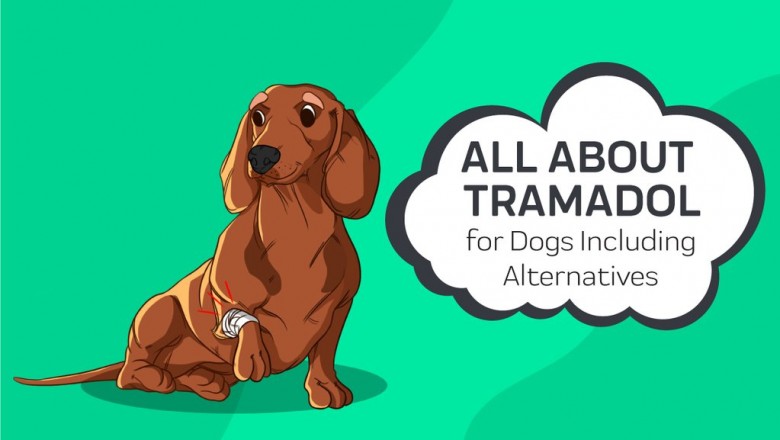 Tramadol for dogs - Buy tramadol for dogs online | 100mg tramadol