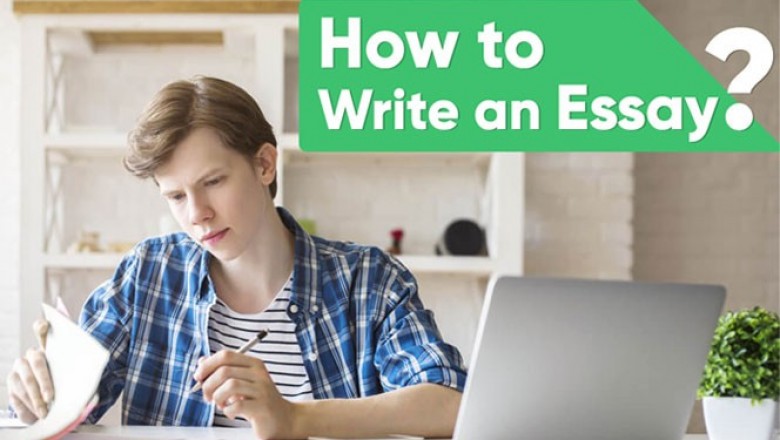 Development of Environmental Movements | Online Assignment Help | Acemyhomework Writers