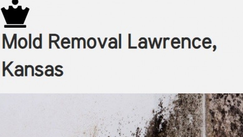Mold Removal: Removing Mold From Anyplace