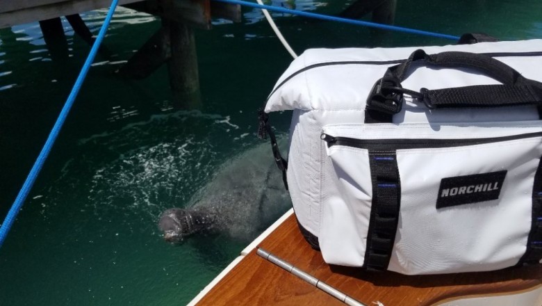 Boat Cooler - Find The Beach Coolers For Your Next Trips