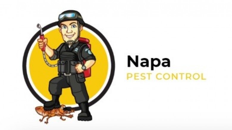 Why Contemplate Pest Control Services?