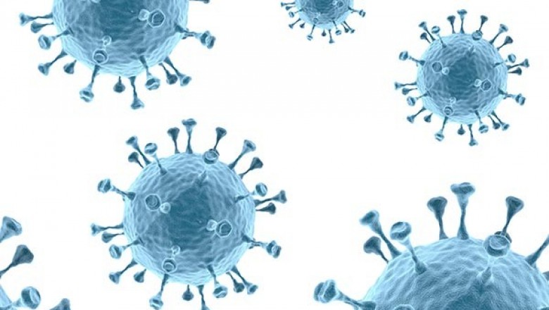 Benefits of Havinga Workplace Vaccination Program