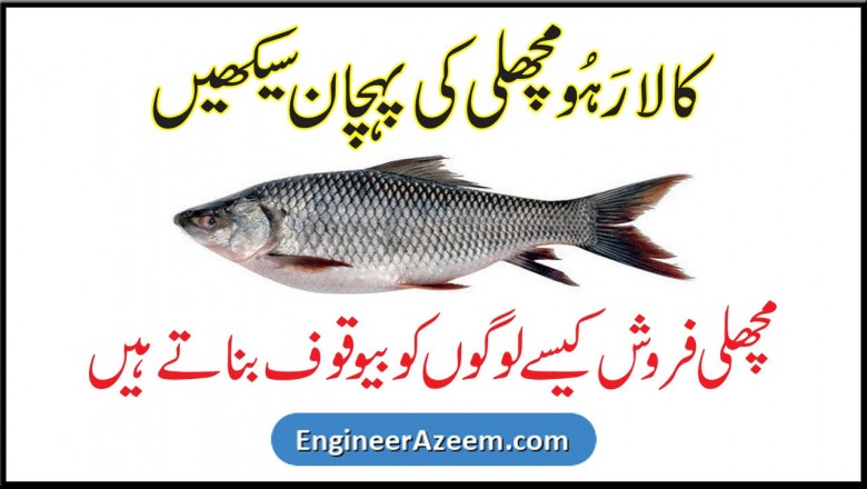 Kala Rohu Fish