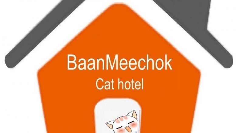 Trying to find Cats For Sale?
