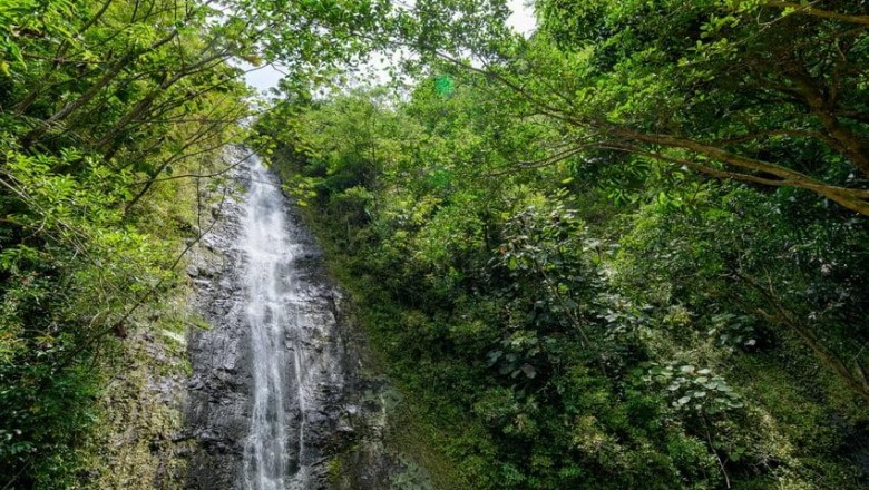 Seven Falls Hike