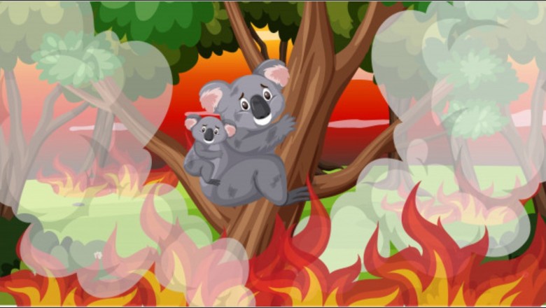 Bushfires of Australia