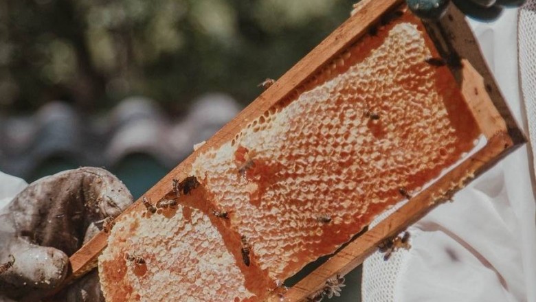 Manuka honey benefits: What you might want to know about this wonder food