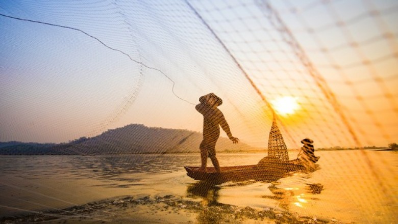 Fishing Industry Email List | Fishing Company Profiles