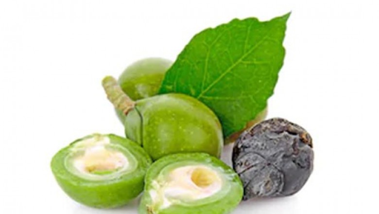 Sapindus Trifoliatus (Reetha) Liquid Extract in India