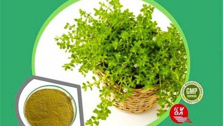 Centella Asiatica (Brahmi) Liquid Extract