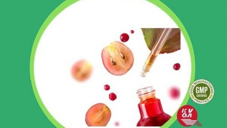 Herbal-Creation Extract Manufacturer in India