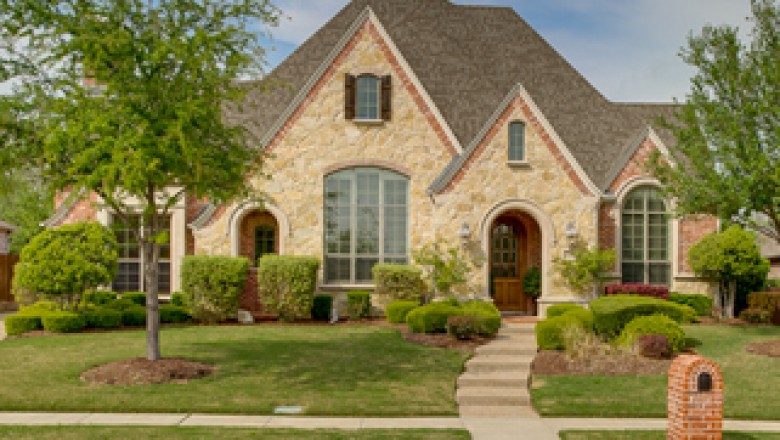 Dallas Bed Bug Control | Dallas Cockroach Control