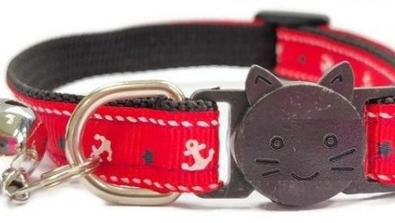 Printed Cat Collars