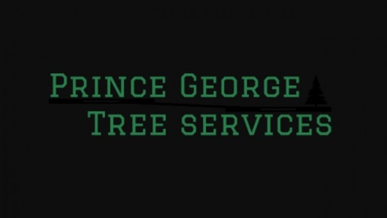 Reasons for Hiring Professional Tree Removal Services