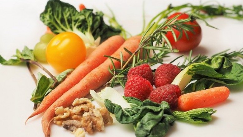 Necessity of Nutrition in Daily LIfe