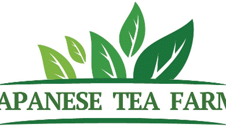 The Diverse Types of Japanese Green Tea Explained