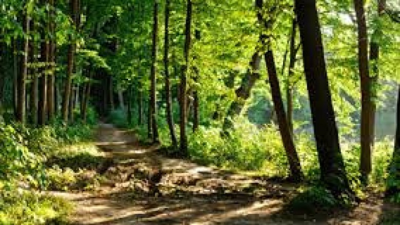 Notting Hill Counselling - Psychotherapy