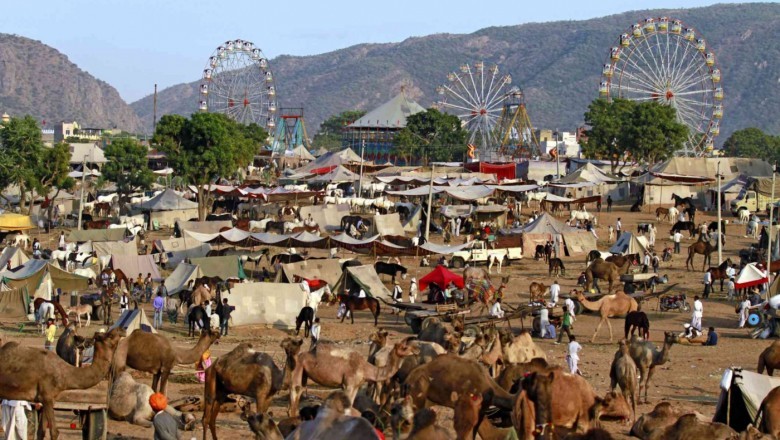 Make your holiday better with our Jaipur tour package