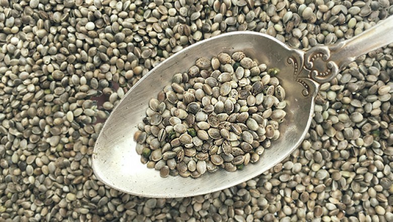 Hemp Seed Benefits around the Body