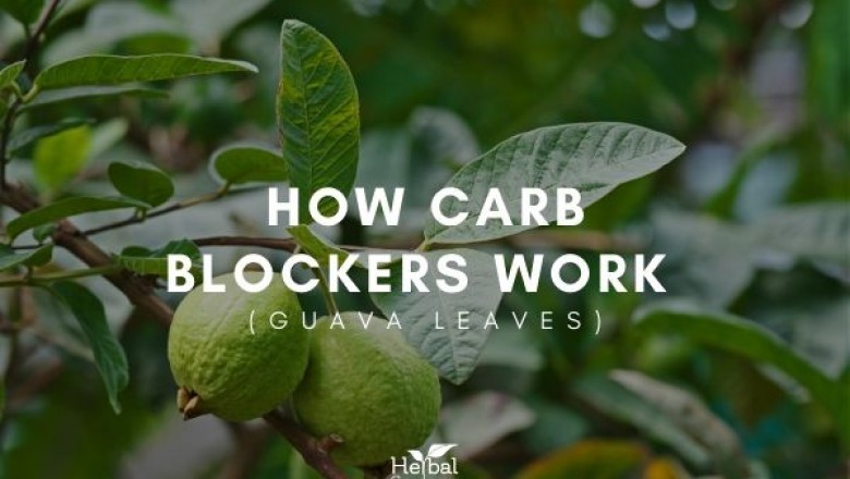HOW CARB BLOCKERS WORK - GUAVA LEAVES | HERBAL GOODNESS