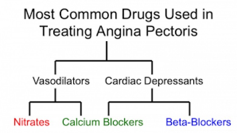 angina pectoris anti-anginals treatment in portland