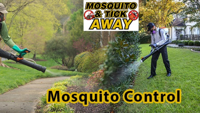 Foxborough MA Tick Control