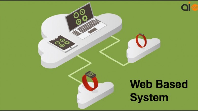 Web Based or Software Based System?