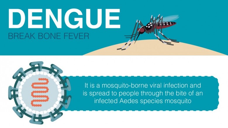 Dengue – Signs and Symptoms