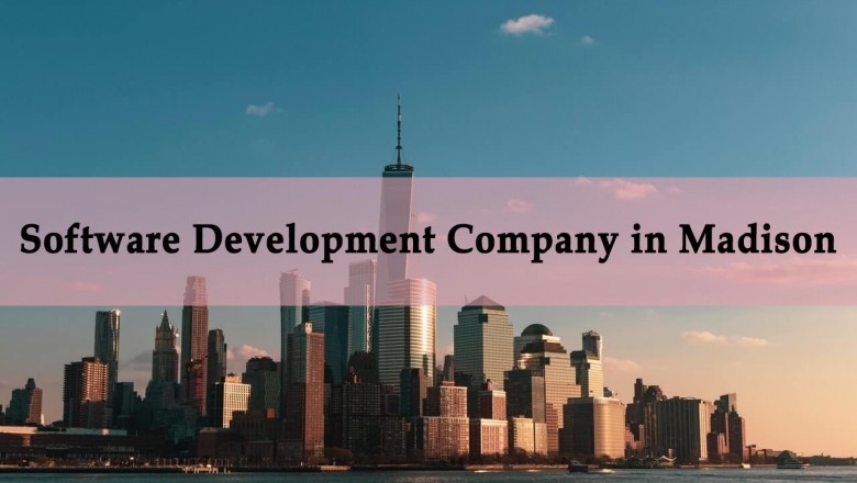 Software Development Company in Madison
