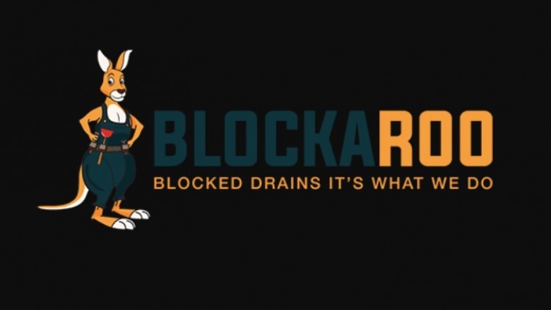 This is What Blocked Drains Appears Like