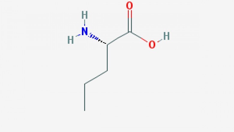 Chemical L-Norvaline Material and Products