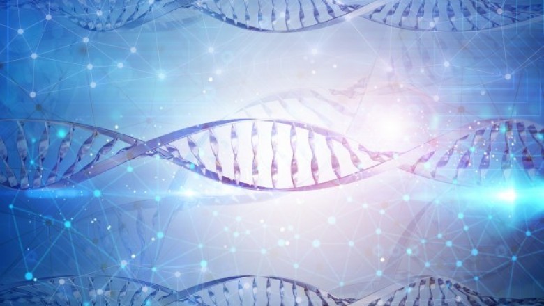 What is Stem Cell Banking?