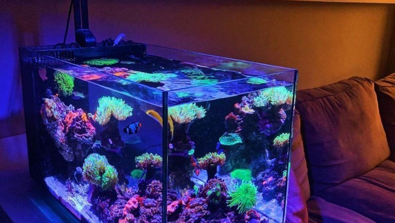 Marine Depot Aquarium Supplies