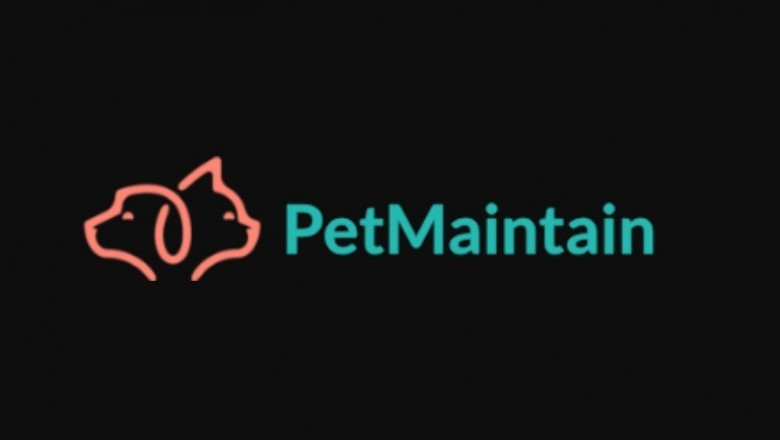 Factors You must Know About Correct Pet Care