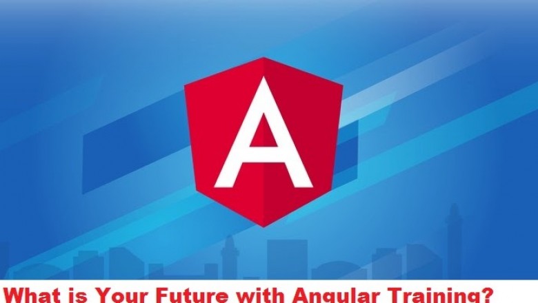 What is Your Future with Angular Training?