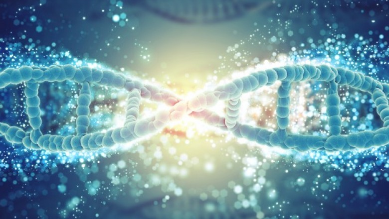 An Unbiased View of stem cell Banking