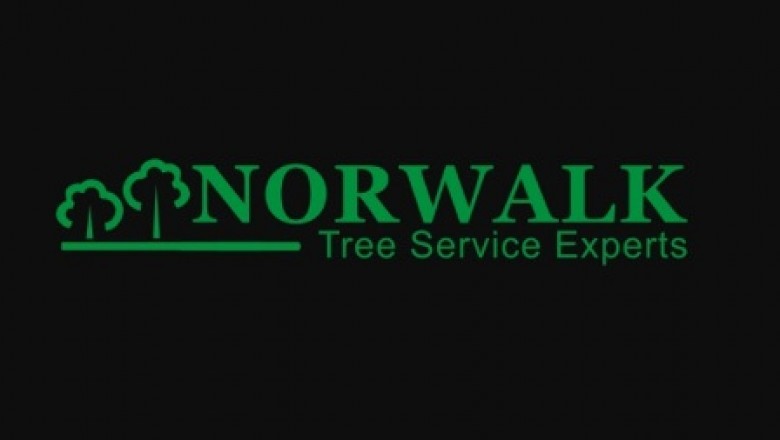 Significance of Getting a Tree Service