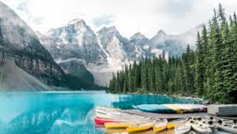 Graphic Design Agency Toronto