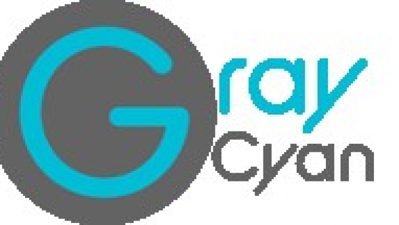 toronto seo specialist - Website Designing - Graycyan