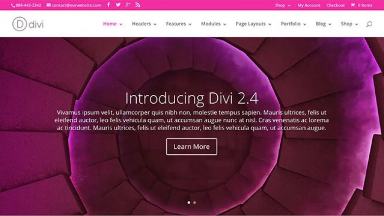ELEGANT THEMES – WHAT DO THEY OFFER AND IS IT WORTH JOINING?